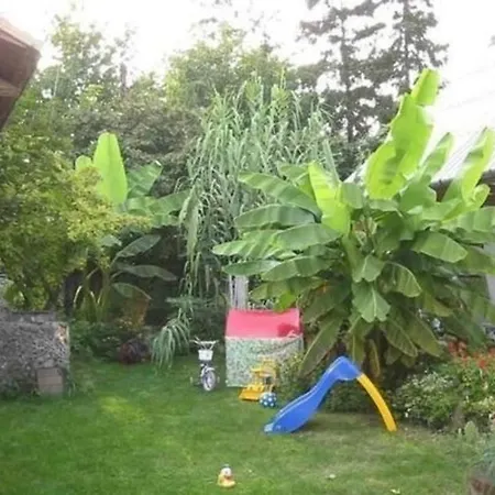 In Fonyd Mit Terrasse, Garten Und Grill דירה